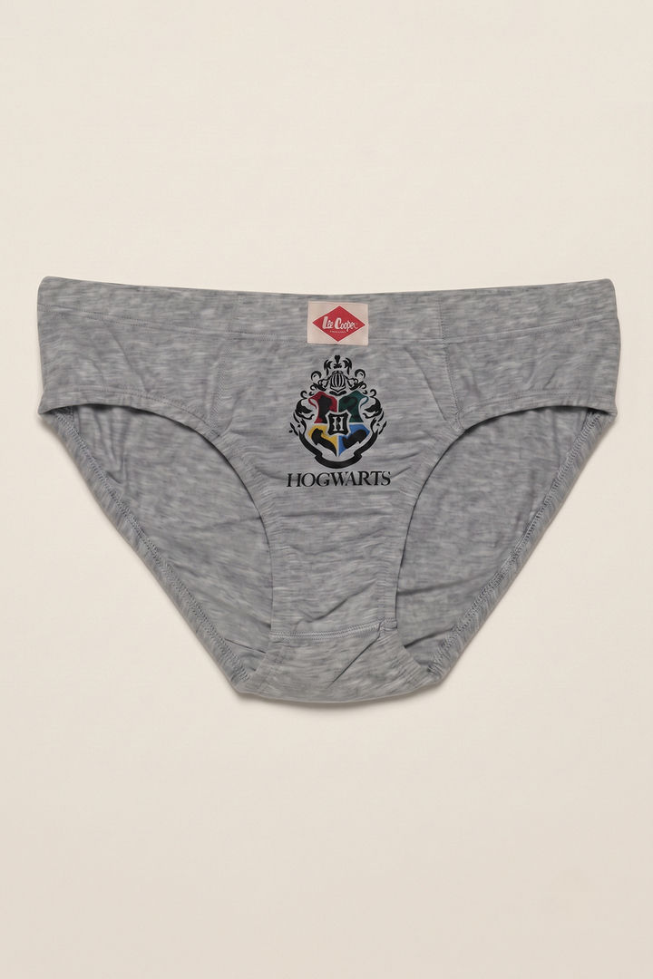 Lee Cooper Boys Harry Potter Briefs (Pack of 3) - Multicolor — image 2